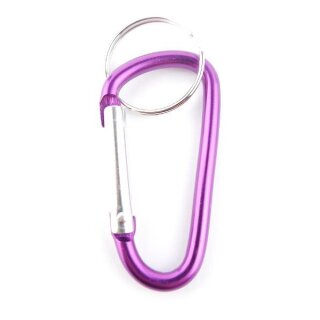 Schlüsselanhänger Karabiner Karabinerhaken Schlüsselring Schnapphaken