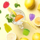 Dauereiswürfel Eiswürfel wiedeverwendbar Kunsstoff Kunststoffeiswürfel Eiswürfelform Cube Kühlsteine Eissteine Partywürfel Party Früchte Cocktail Plastikeiswürfel Frucht Obst Eiswürfelform