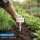 Pflanzschilder Beschriftungsschilder Pflanzen Stecker Kräuter Blumen Steckschilder Marker Set Kräuterschilder Blumenschilder Gartenschilder Anzucht Beetschilder Anzuchtschilder